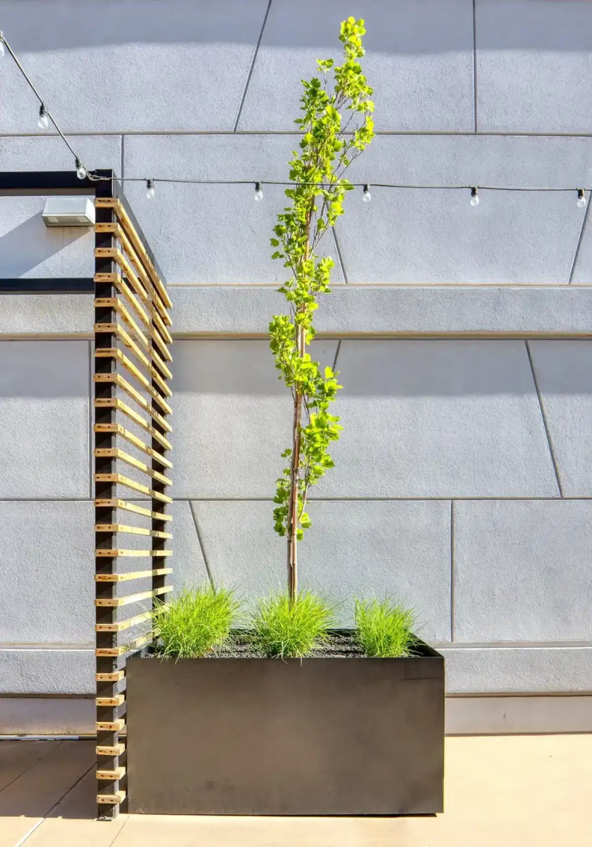 Hidden Gem indoor-outdoor transition linking The Parlour to the rooftop patio