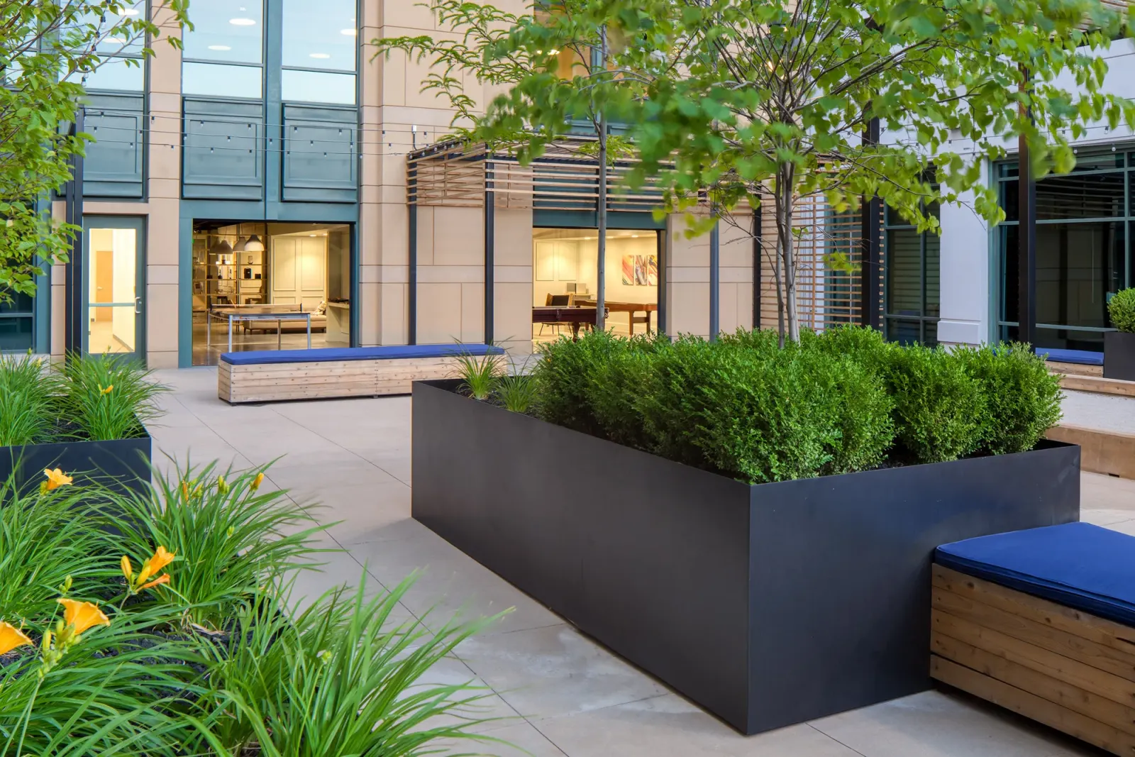 Hidden Gem planting detail with ornamental grasses