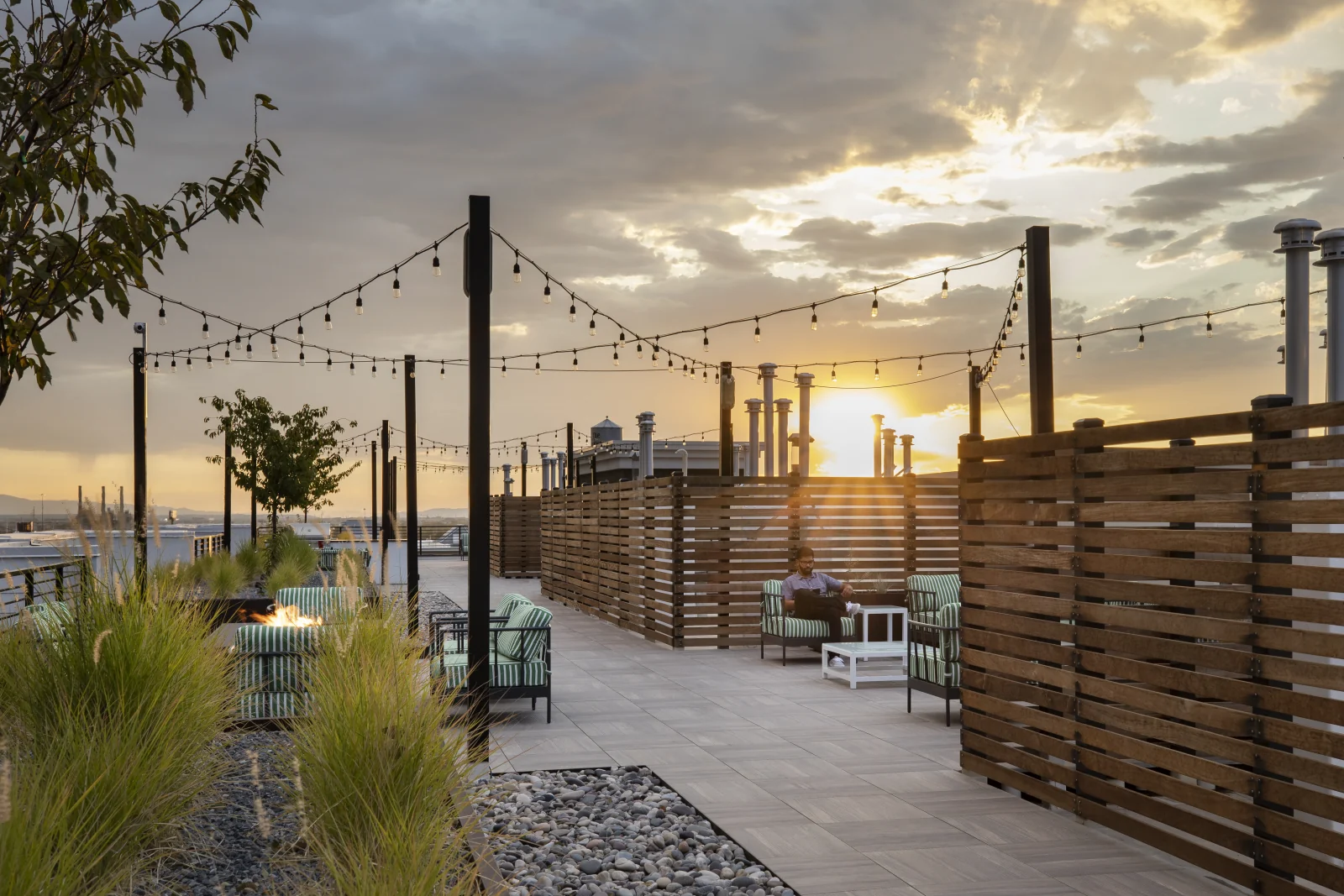 Timber screen softens the steel and glass